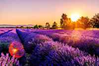 Landscapes - Wall calendar printed on premium quality  paper.