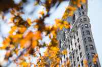 New York - A wall calendar printed on premium quality paper.