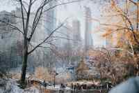 New York - A wall calendar printed on premium quality paper.