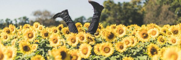 Print ideas for the August bank holiday!