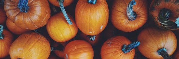 Spooktacular Printing: Elevate Your Halloween Celebration with These Ideas!